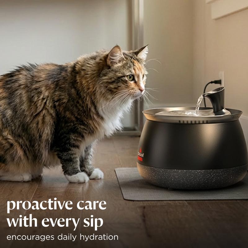 Cat Water Fountain with Fresh Filtered Water and Quiet Pump