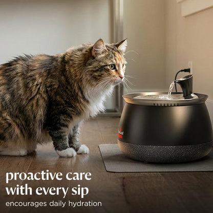 Cat Water Fountain with Fresh Filtered Water and Quiet Pump