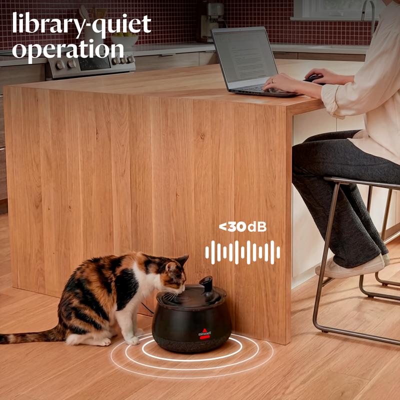 Cat Water Fountain with Fresh Filtered Water and Quiet Pump