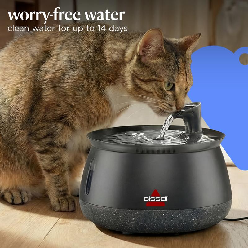 Cat Water Fountain with Fresh Filtered Water and Quiet Pump