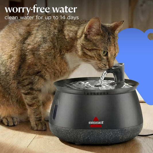 Cat Water Fountain with Fresh Filtered Water and Quiet Pump